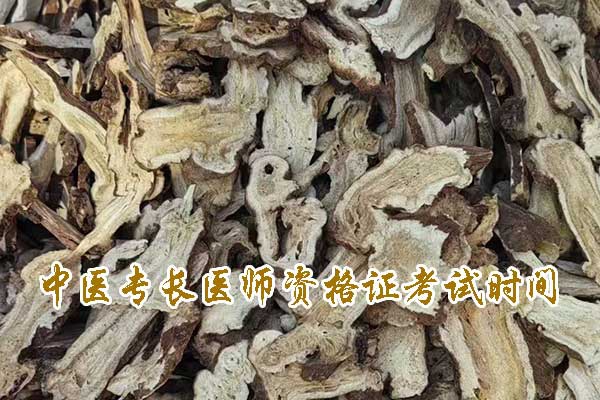 中医专长医师资格证考试时间