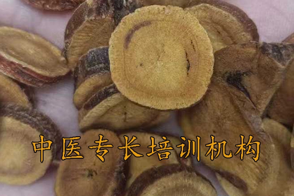 郑州中医专长培训机构可靠吗