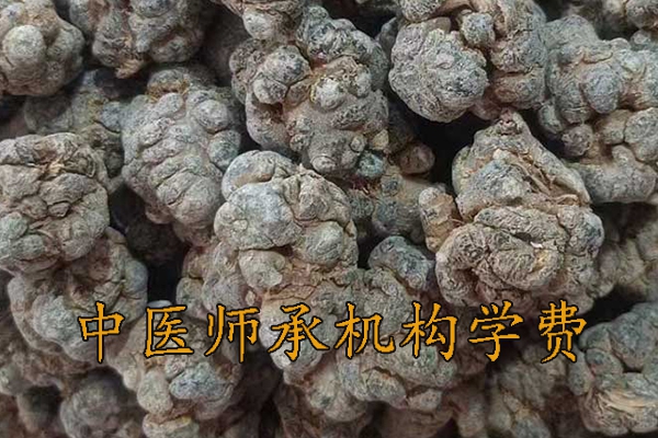 嘉兴中医师承学费多少钱