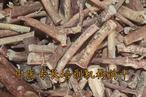 平顶山中医专长培训班哪家好