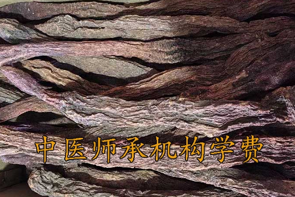 台州中医师承学费一年多少钱