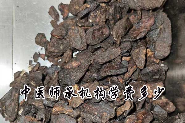 丽水中医师承学费一年多少钱