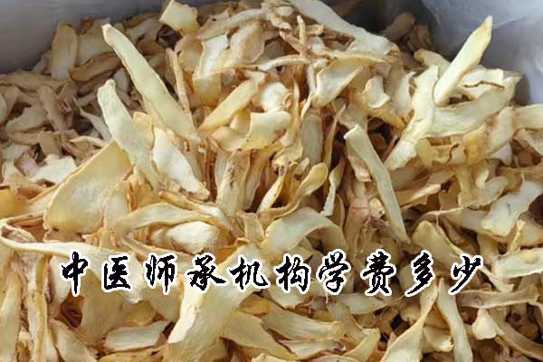 衢州中医师承机构学费多少