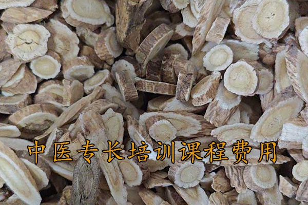 焦作中医专长培训班哪家正规