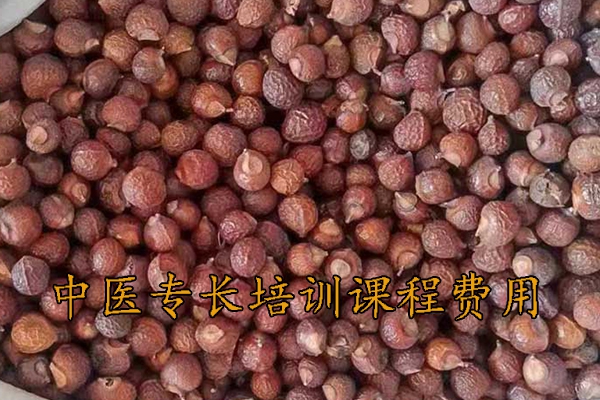 安阳中医专长培训课程费用