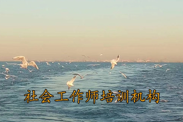 蚌埠社会工作师培训机构排名