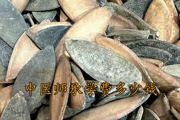 昆山中医师承机构学费多少