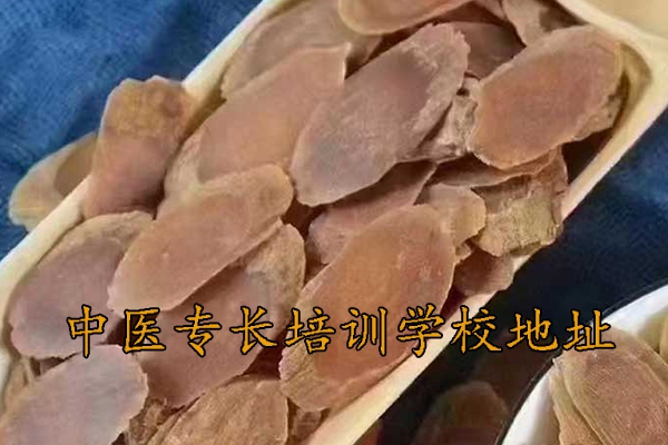 周口中医专长培训机构有哪些