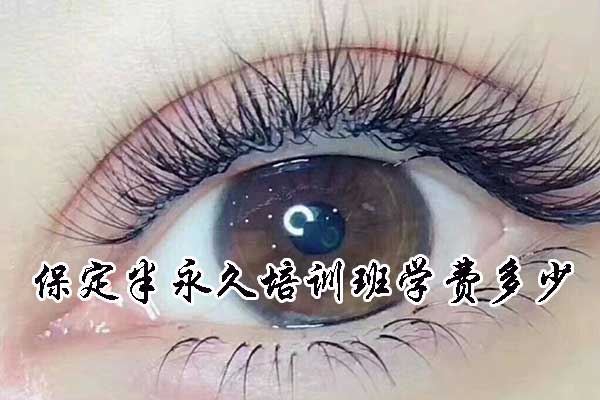 保定半永久培训班学费多少