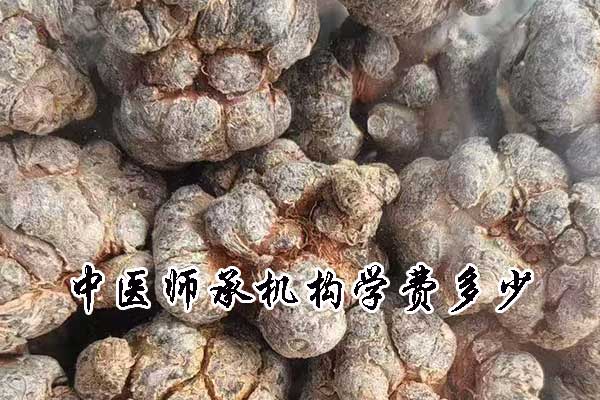 连云港中医师承机构学费多少