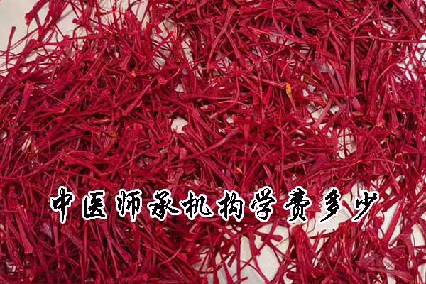 宿迁中医师承学费一年多少钱