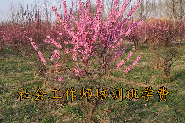 宿迁社会工作师培训机构排名