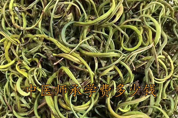 泰州中医师承学费多少钱