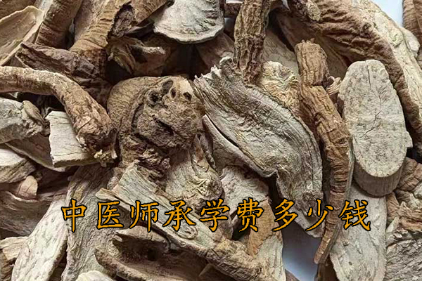 镇江中医师承学费一年多少钱