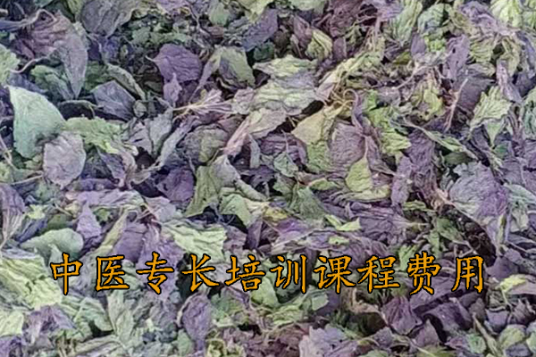 三门峡中医专长培训班哪家正规