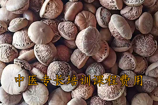 濮阳中医专长培训学校地址