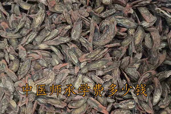 江阴中医师承机构学费多少