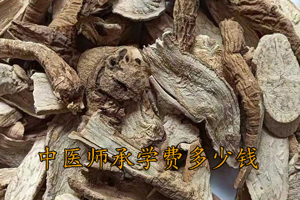 张家港中医师承学费多少钱