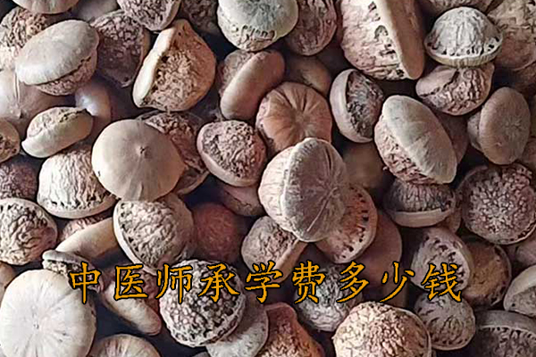 合肥中医师承学费一年多少钱