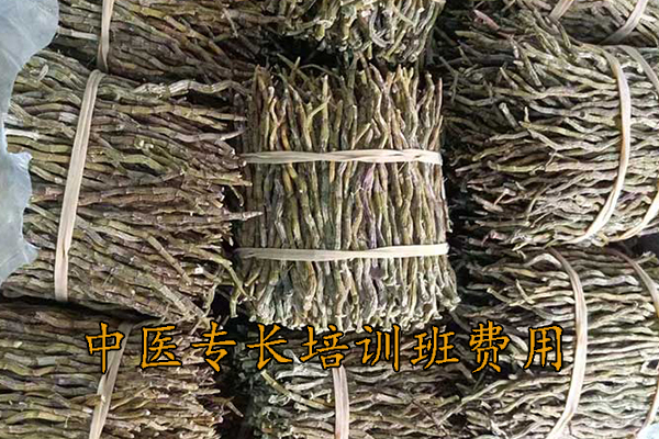 长沙中医专长培训机构有哪些