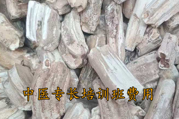 衡阳中医专长培训班费用