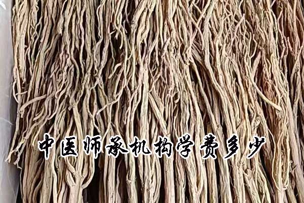 安庆中医师承机构学费多少