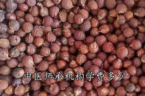 阜阳中医师承学费一年多少钱