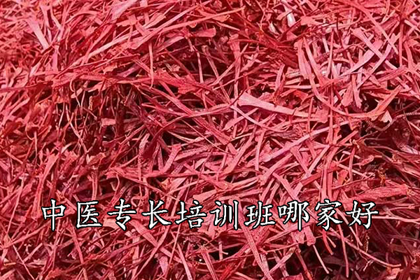 娄底中医专长培训哪家好