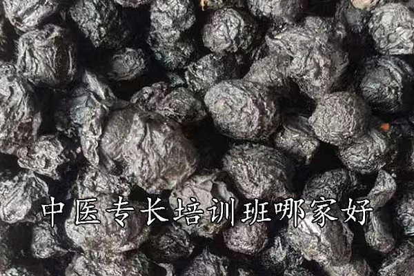 湘潭中医专长培训班哪家好