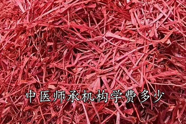 淮南中医师承机构学费多少