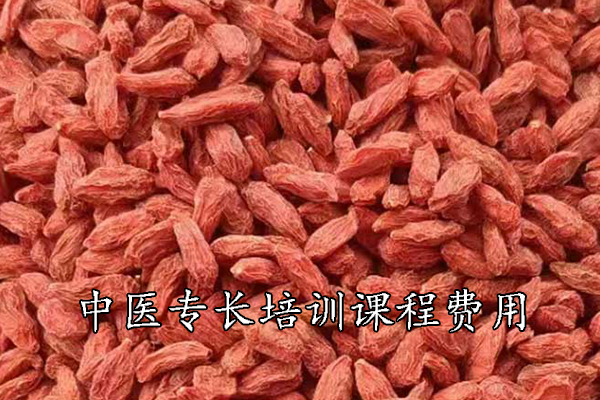常德中医专长培训课程费用
