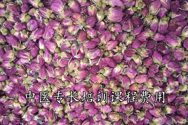 永州中医专长培训学校地址