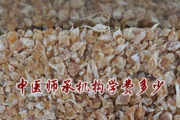 福州中医师承机构学费多少