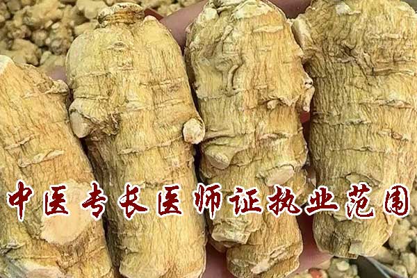 中医专长医师证执业范围