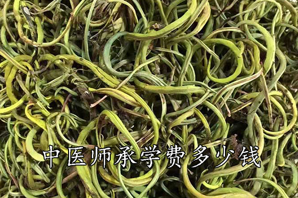 南昌中医师承机构学费多少