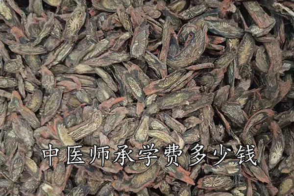 九江中医师承学费多少钱