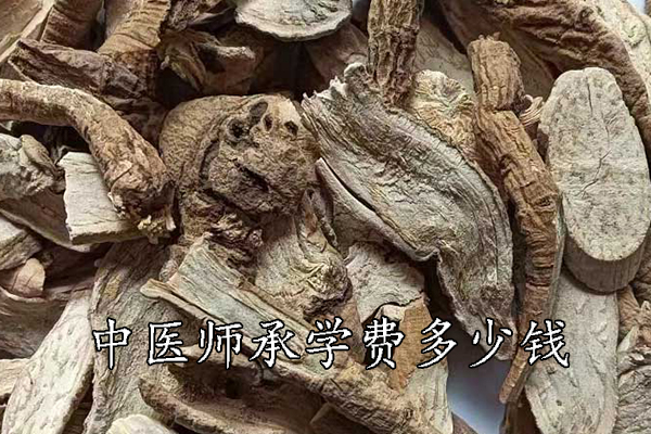 宜春中医师承学费一年多少钱