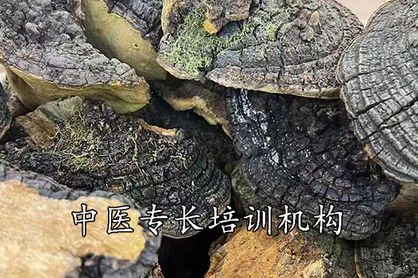 荆门中医专长培训机构有哪些