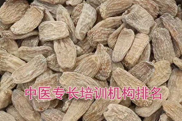 宜宾中医专长培训班哪家好