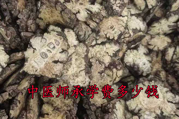 郑州中医师承机构学费多少