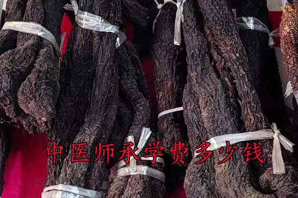 洛阳中医师承学费多少钱