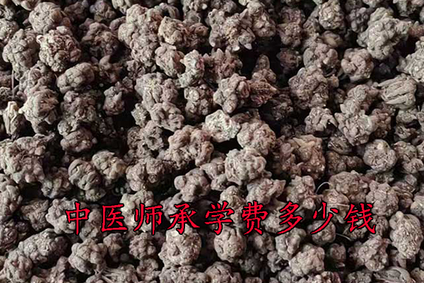 新乡中医师承学费一年多少钱