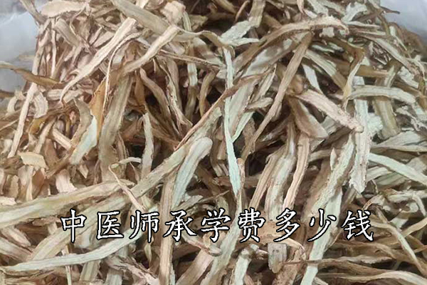 平顶山中医师承机构学费多少