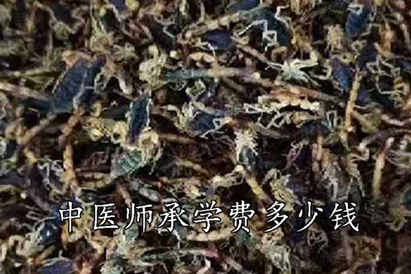 焦作中医师承学费多少钱