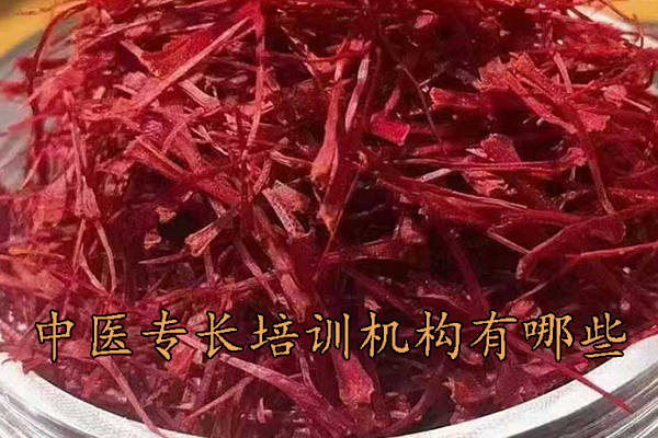 攀枝花中医专长培训机构有哪些