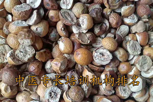 广元中医专长培训机构排名前十