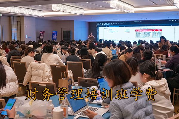 沧州财会培训机构地址