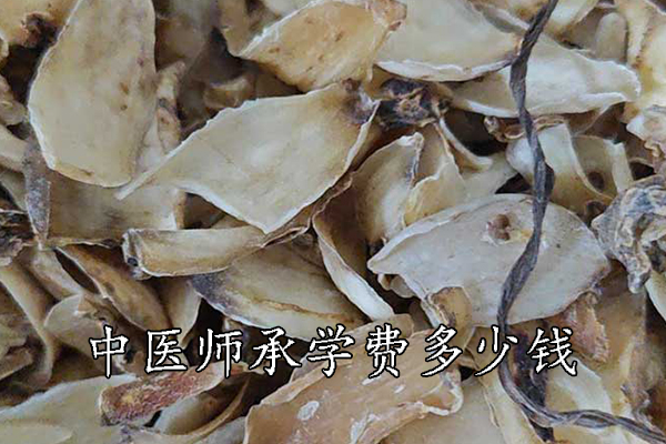 周口中医师承学费多少钱