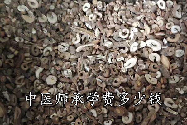 许昌中医师承机构学费多少