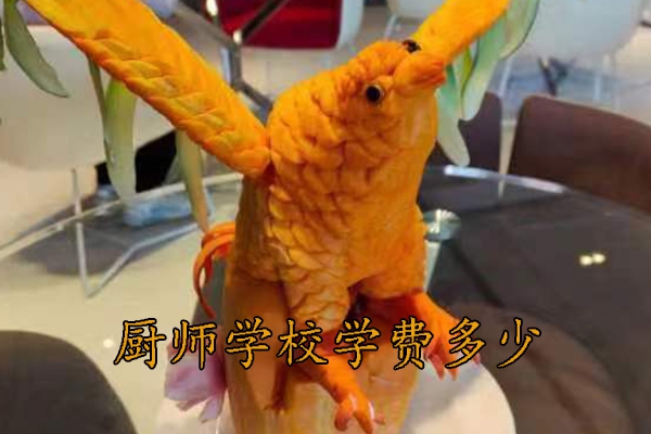 承德学厨师哪个学校好？学费多少？